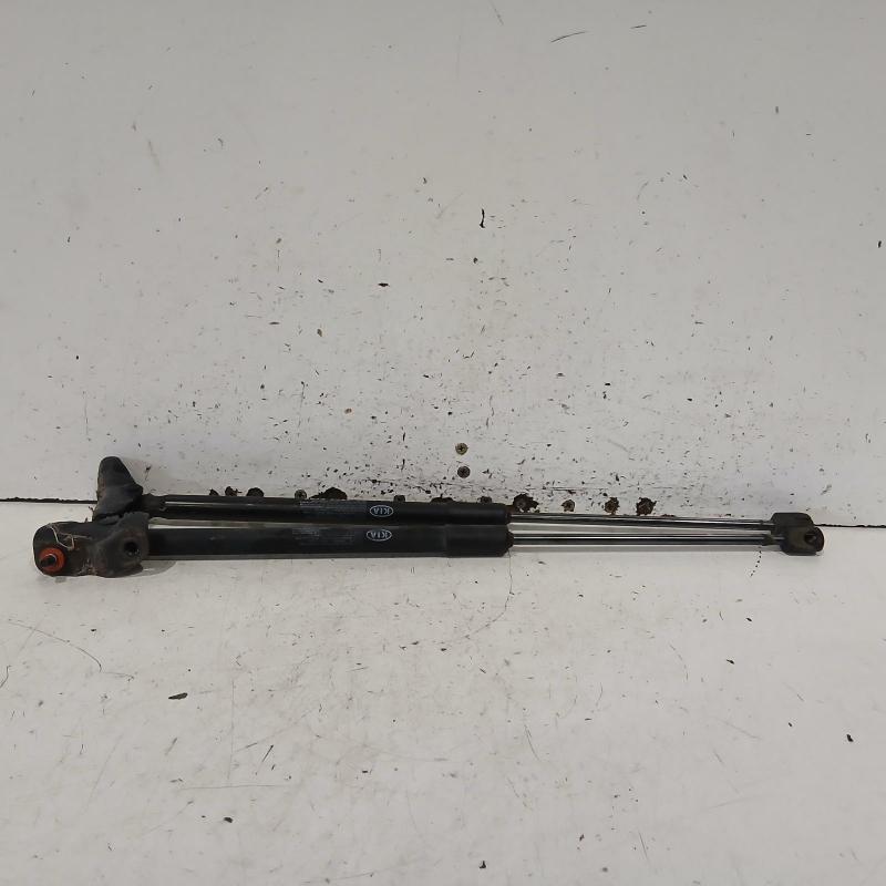 hatch strut