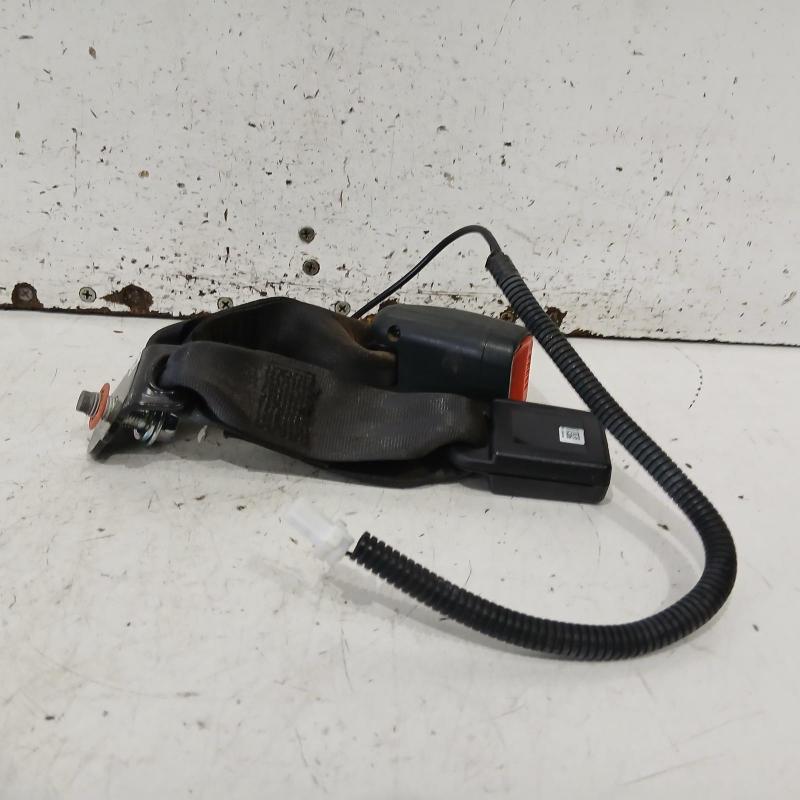 seat belt stalk