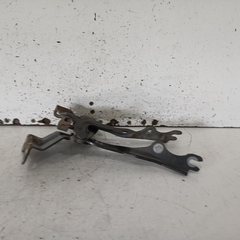 bonnet hinge/strut