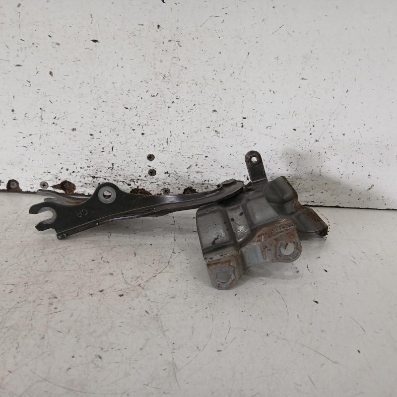 bonnet hinge/strut