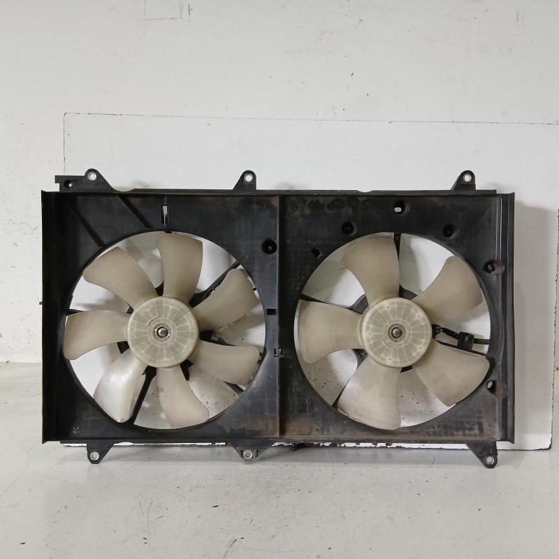 fan