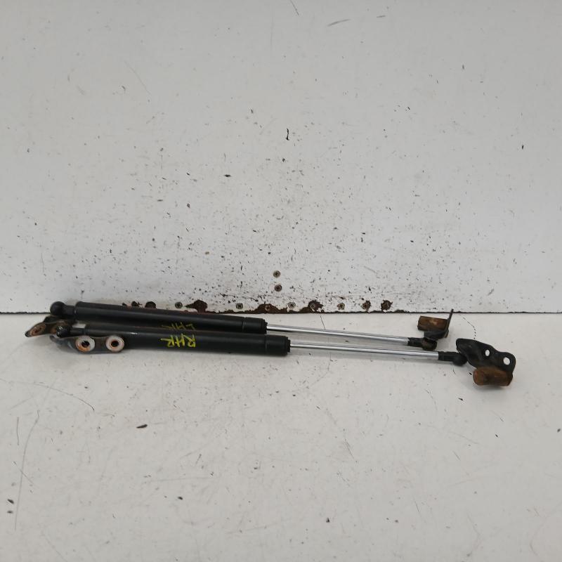 hatch strut