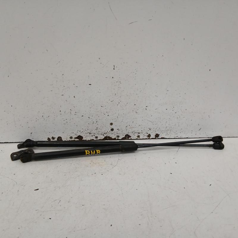 hatch strut