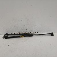 hatch strut