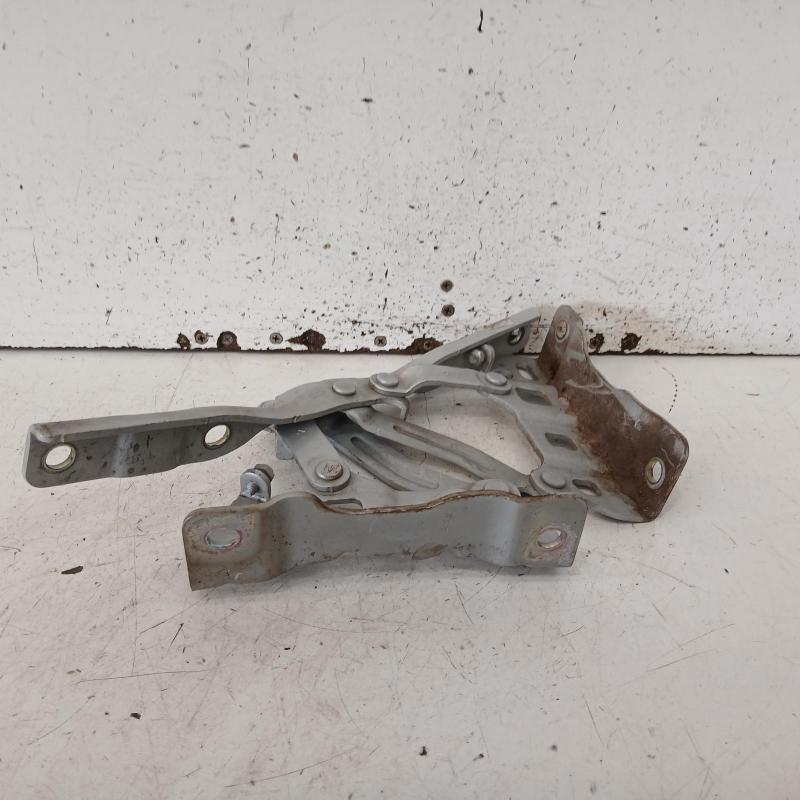bonnet hinge/strut