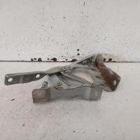 bonnet hinge/strut