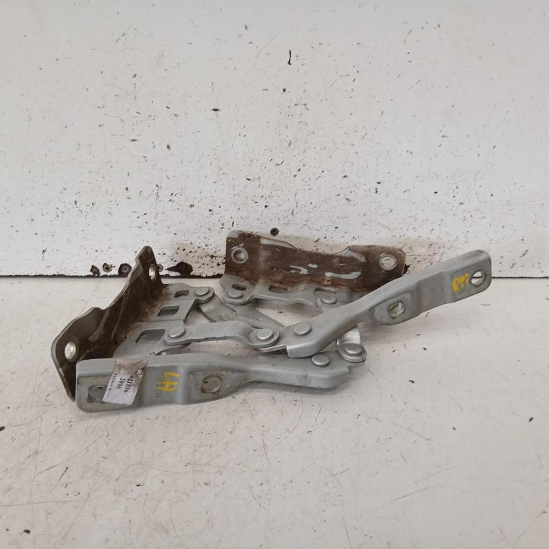 bonnet hinge/strut