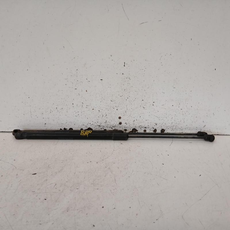 hatch strut