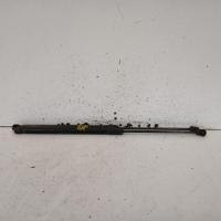 hatch strut