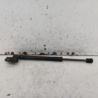 bonnet hinge/strut