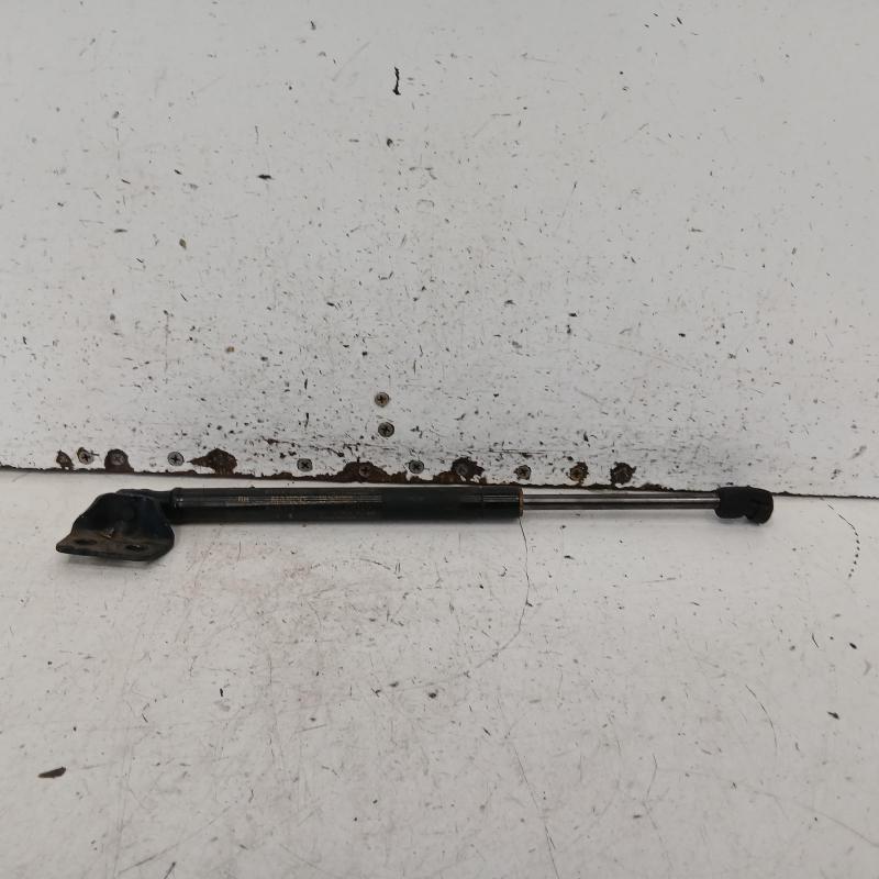 bonnet hinge/strut