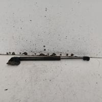 bonnet hinge/strut