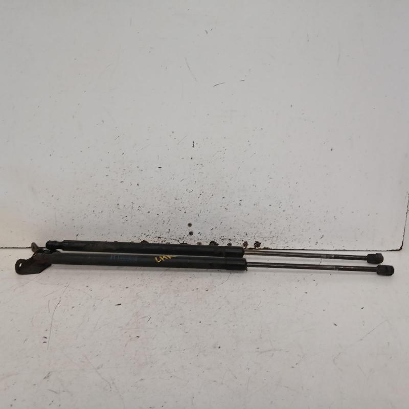 hatch strut