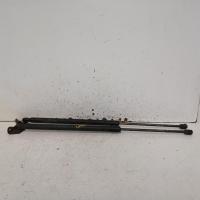 hatch strut