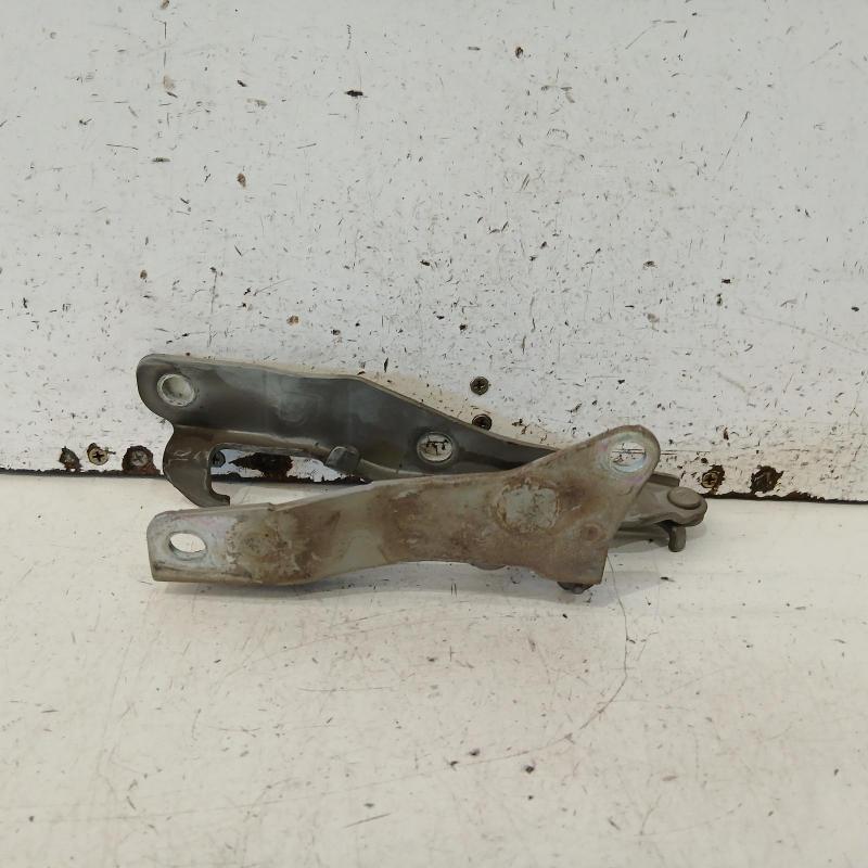 bonnet hinge/strut