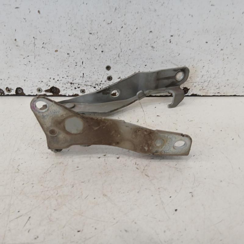 bonnet hinge/strut