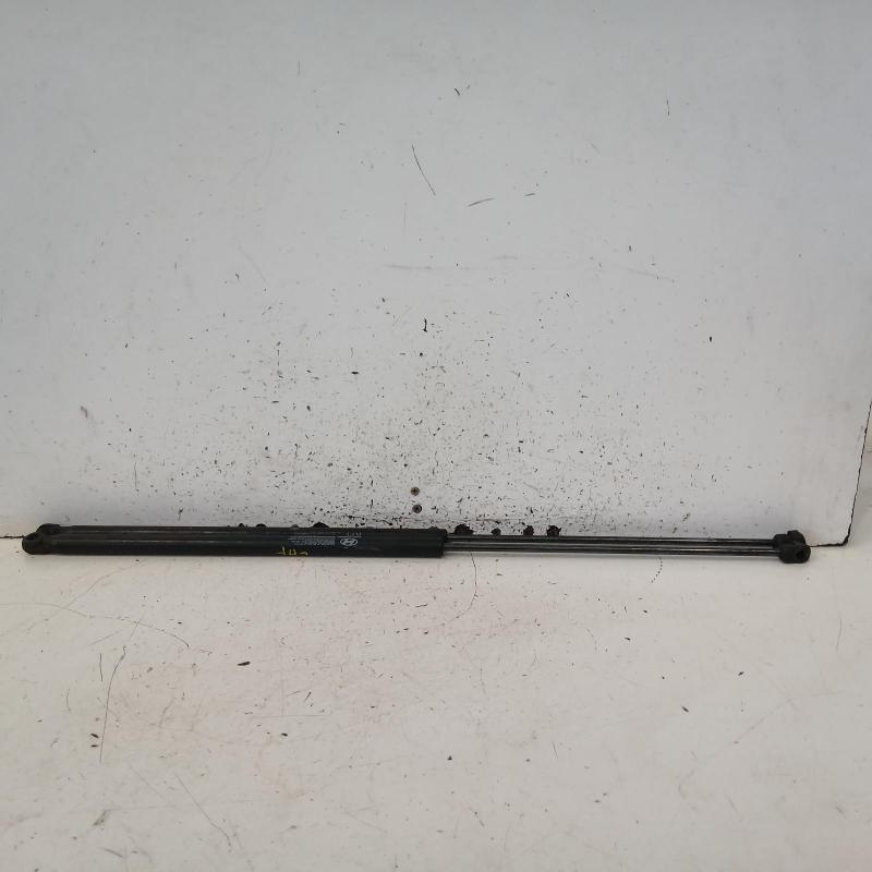 bonnet hinge/strut