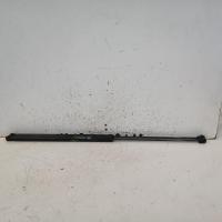 bonnet hinge/strut