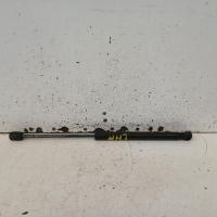 hatch strut