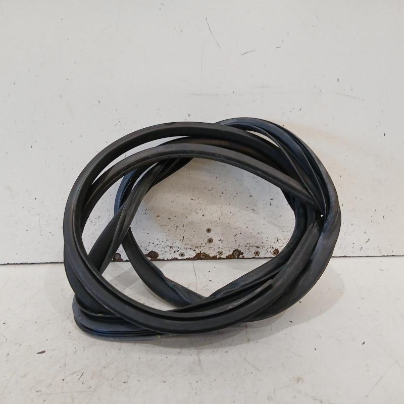 body seal ruber