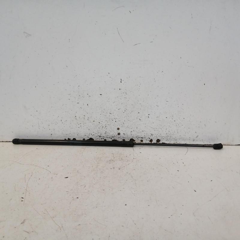 bonnet hinge/strut