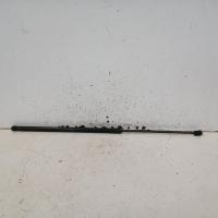 bonnet hinge/strut