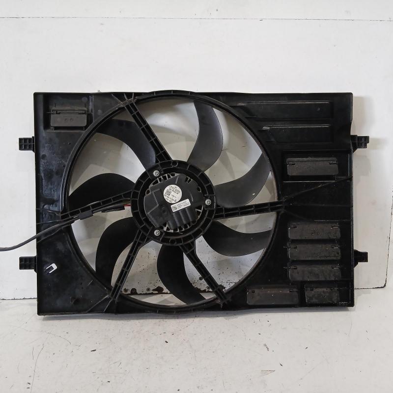 fan