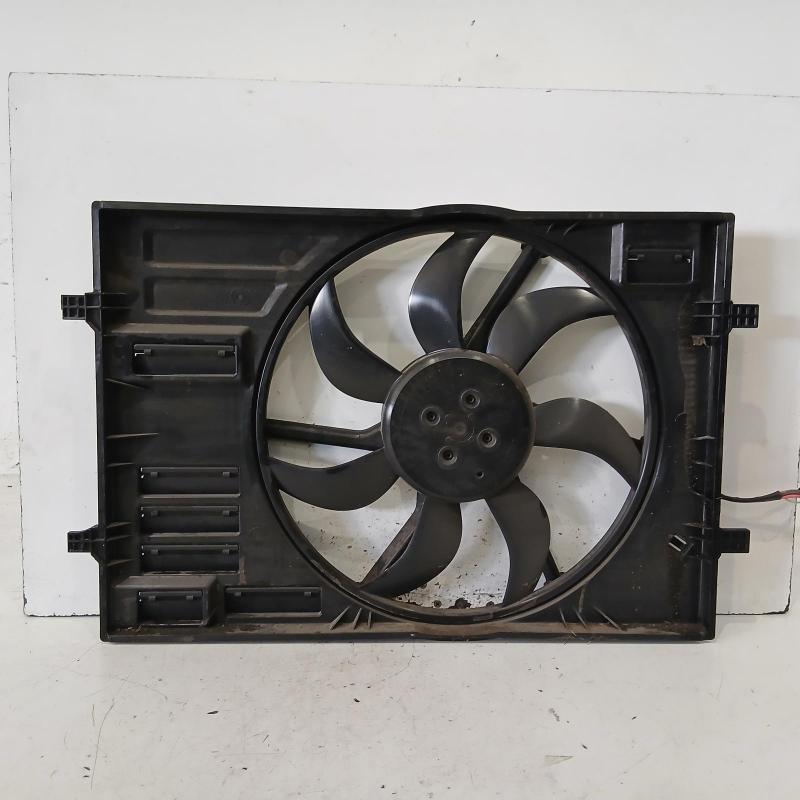 fan
