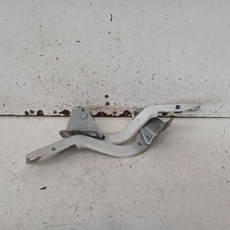bonnet hinge/strut