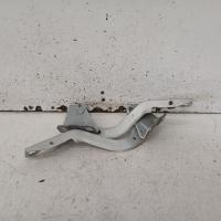 bonnet hinge/strut