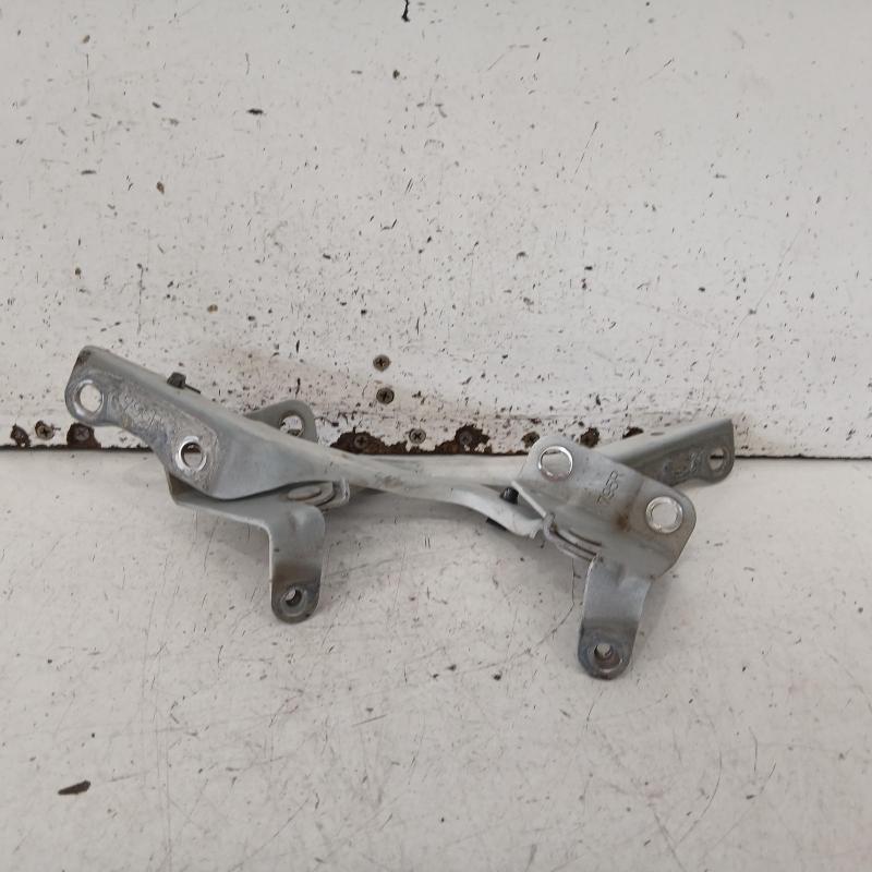 bonnet hinge/strut
