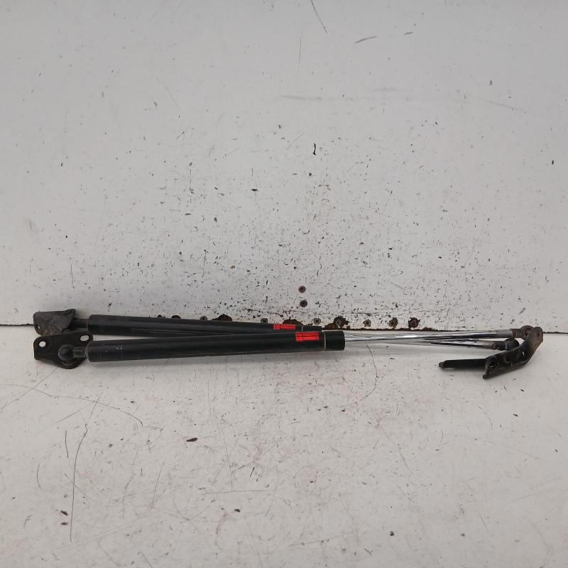 hatch strut