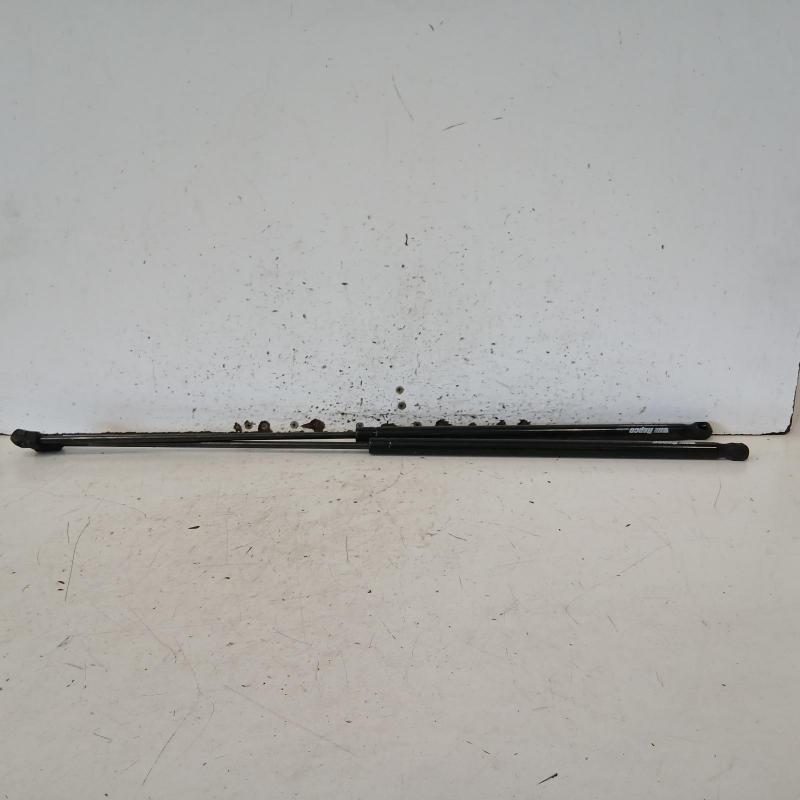 bonnet hinge/strut
