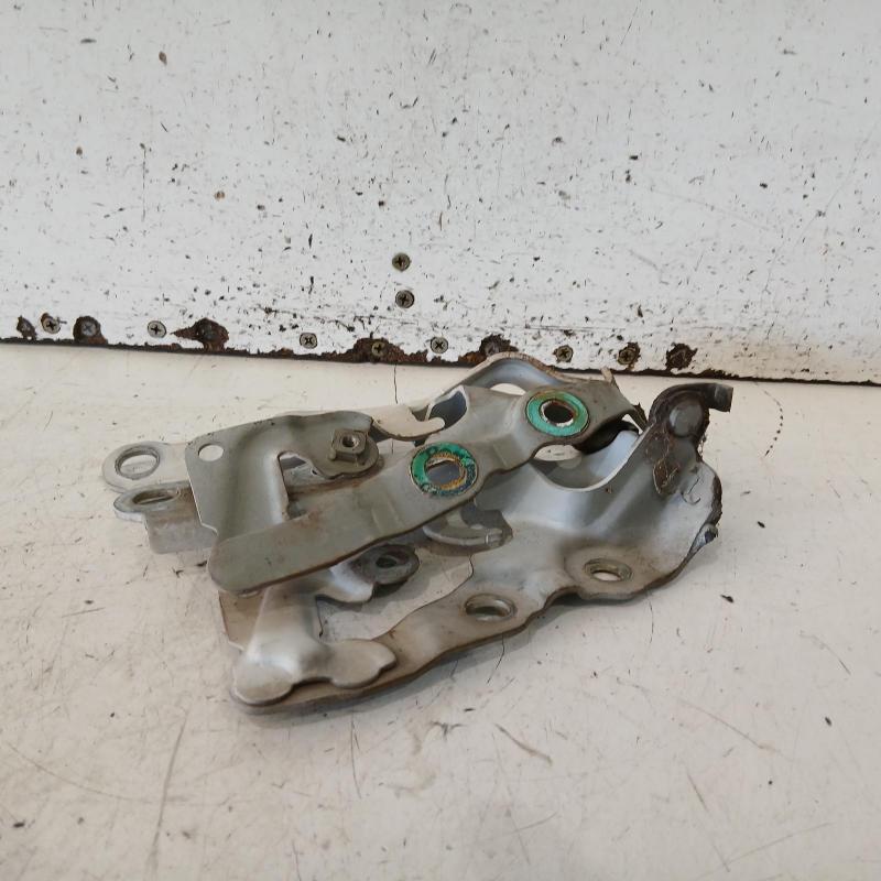 bonnet hinge/strut