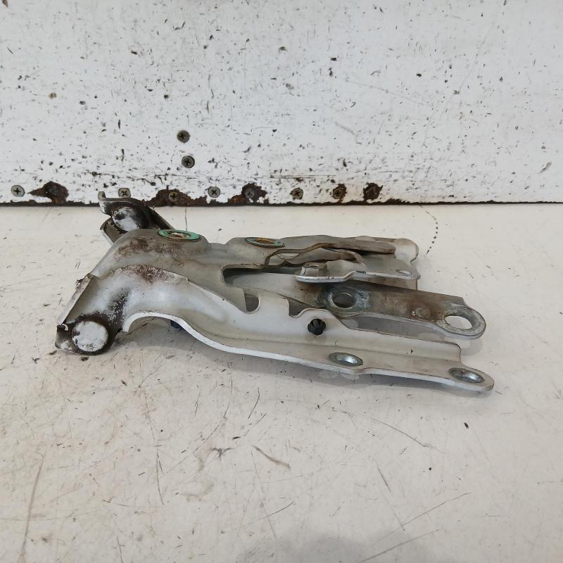 bonnet hinge/strut