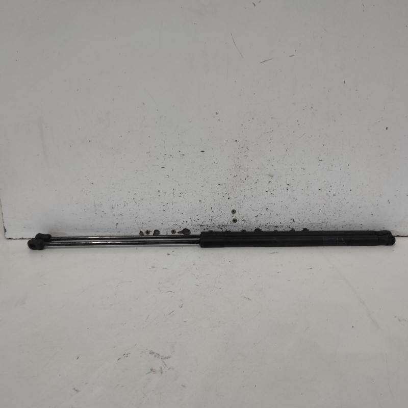 bonnet hinge/strut