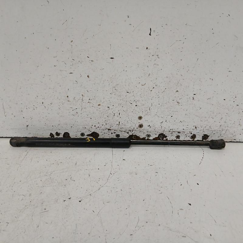 bonnet hinge/strut