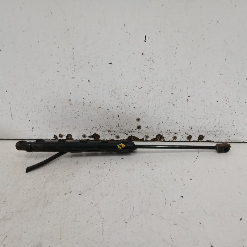 bonnet hinge/strut