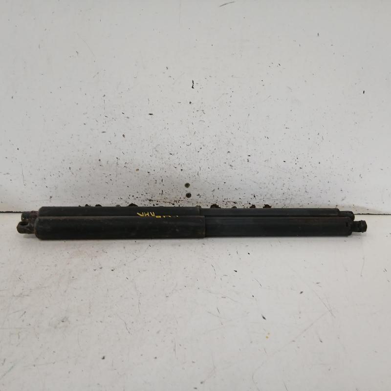 hatch strut