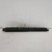 hatch strut