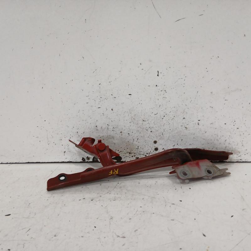 bonnet hinge/strut