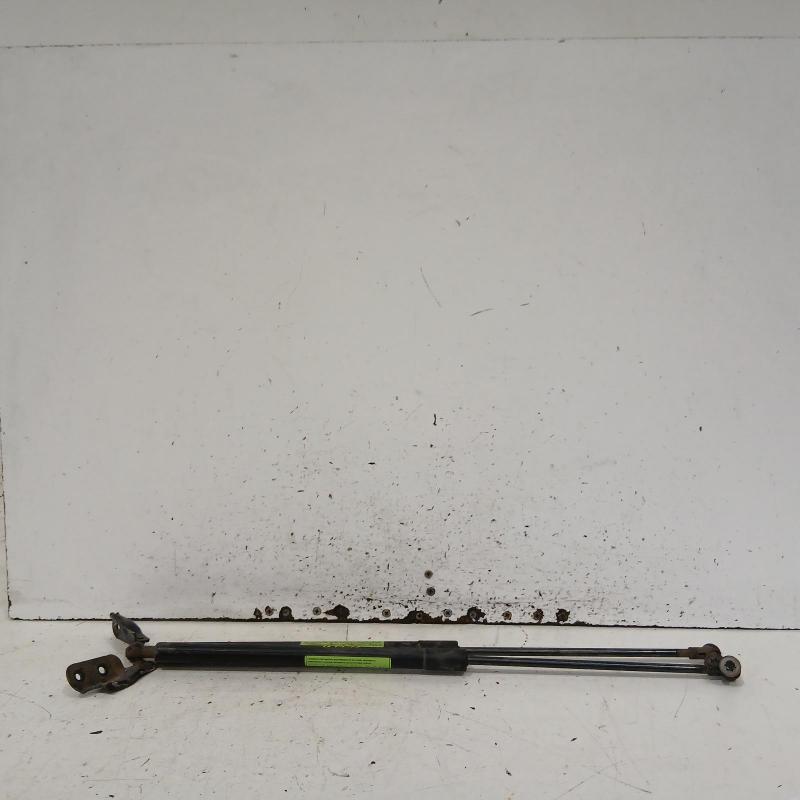 hatch strut
