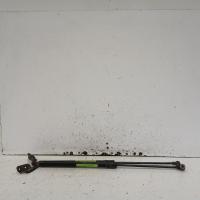 hatch strut