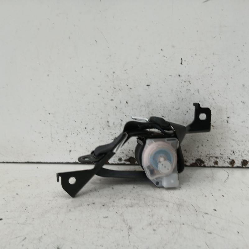seat belt stalk