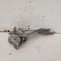 bonnet hinge/strut