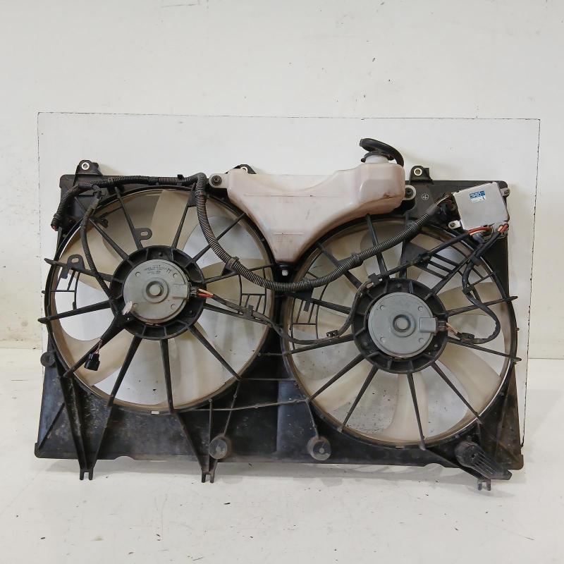 fan