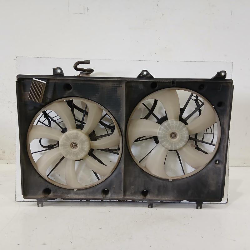 fan