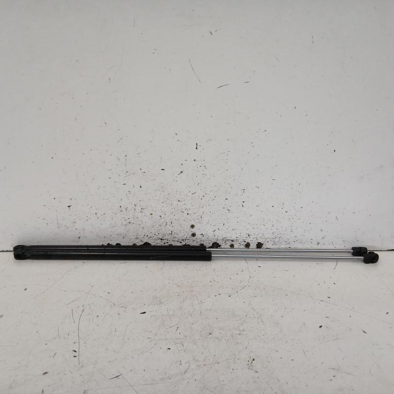bonnet hinge/strut