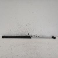 bonnet hinge/strut
