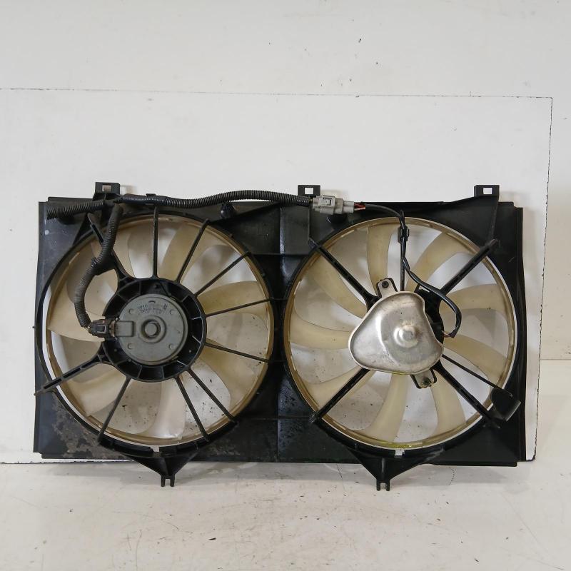 fan